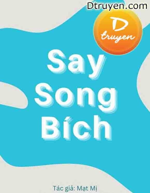 Say Song Bích