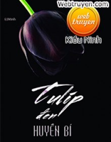 Tulip Đen Huyền Bí