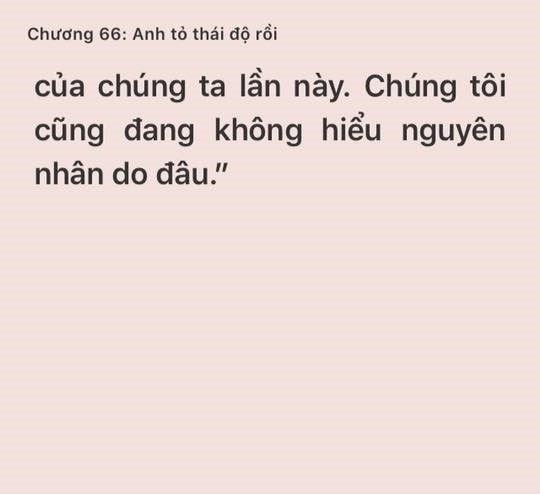 tong-tai-hoi-vo-banh-bao-lam-mai-daddy-tong-tai-66-16