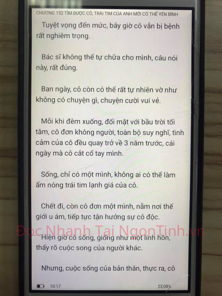 cung-vo-den-tan-cung-151-2