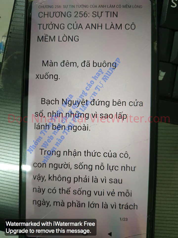 cung-vo-den-tan-cung-255-0