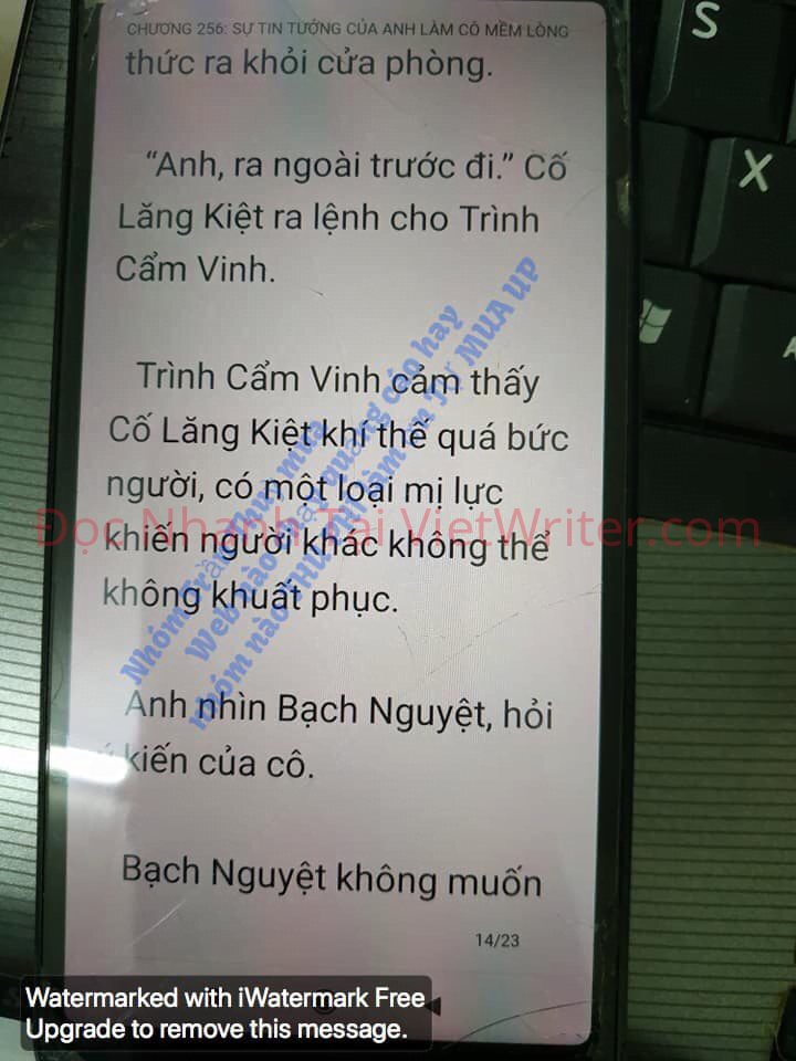 cung-vo-den-tan-cung-255-13