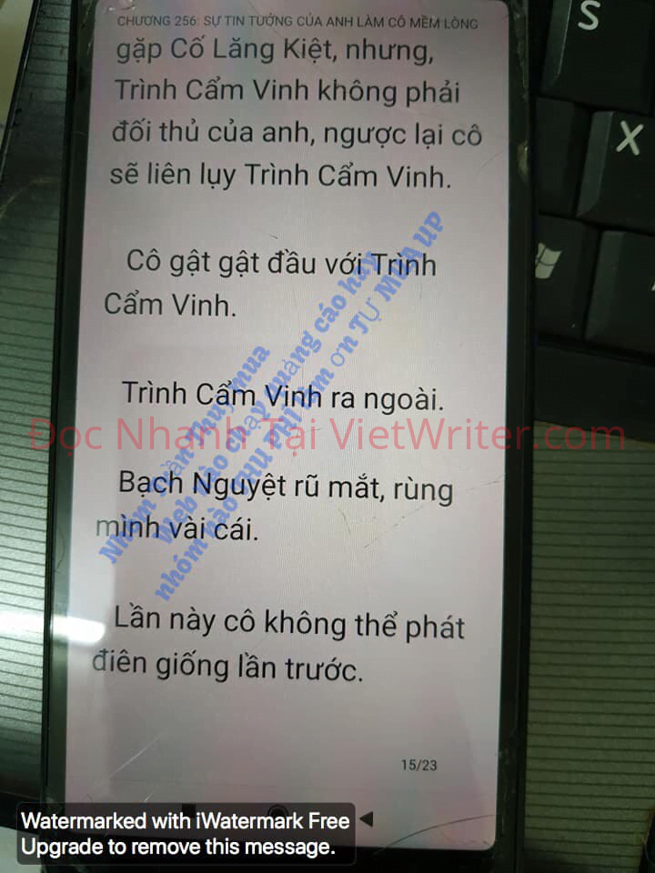 cung-vo-den-tan-cung-255-14