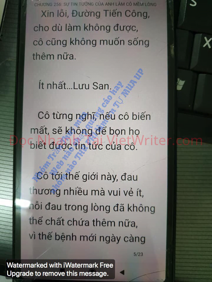 cung-vo-den-tan-cung-255-4