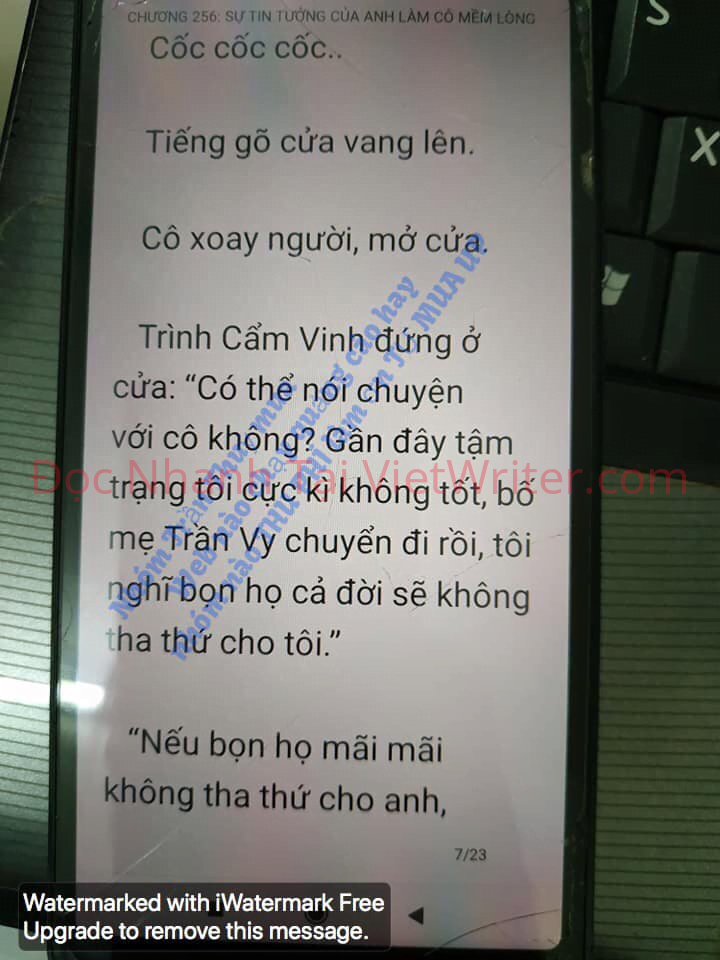 cung-vo-den-tan-cung-255-6