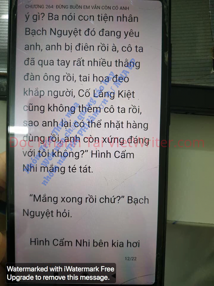 cung-vo-den-tan-cung-263-11