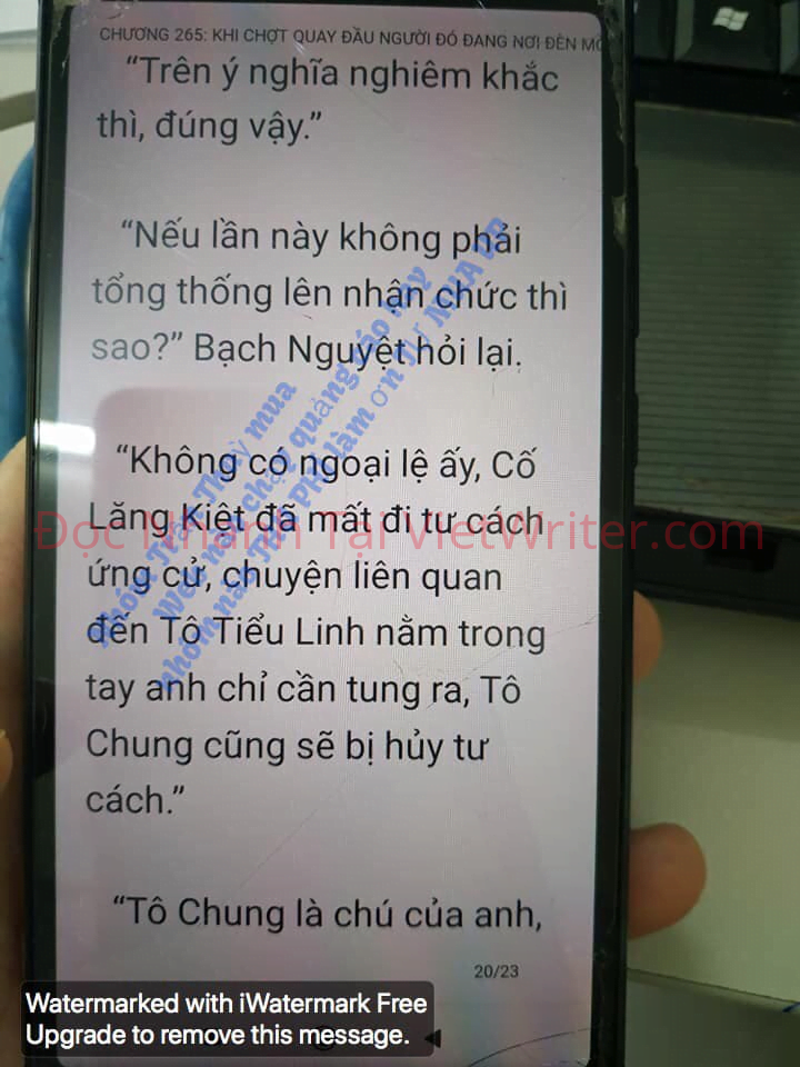 cung-vo-den-tan-cung-264-17