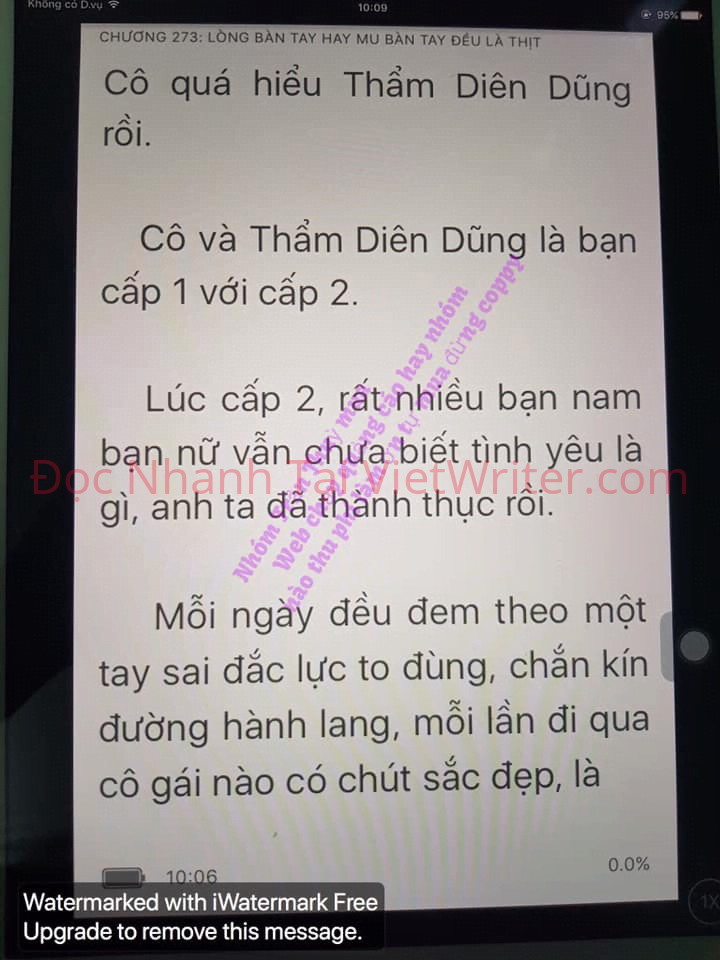 cung-vo-den-tan-cung-272-0