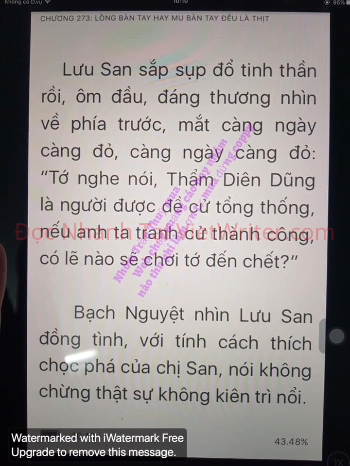 cung-vo-den-tan-cung-272-10