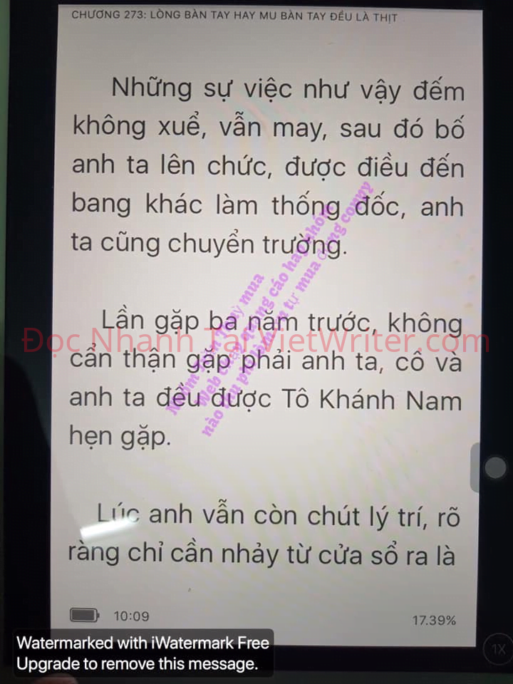 cung-vo-den-tan-cung-272-4