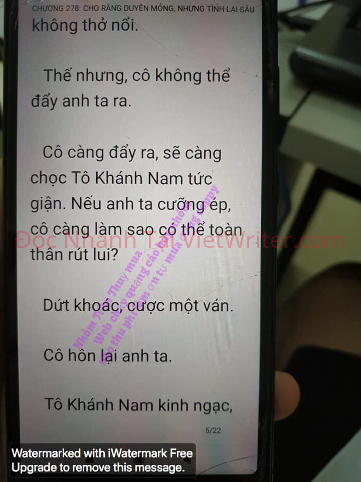 cung-vo-den-tan-cung-277-4