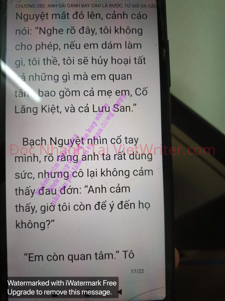 cung-vo-den-tan-cung-281-15