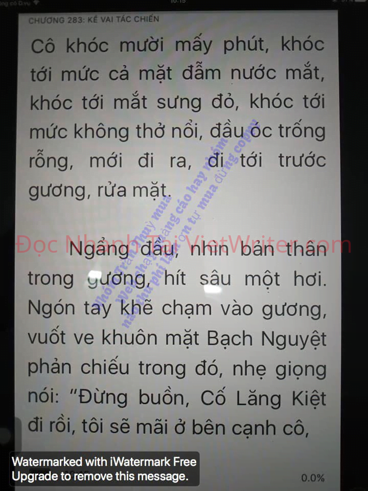 cung-vo-den-tan-cung-282-0