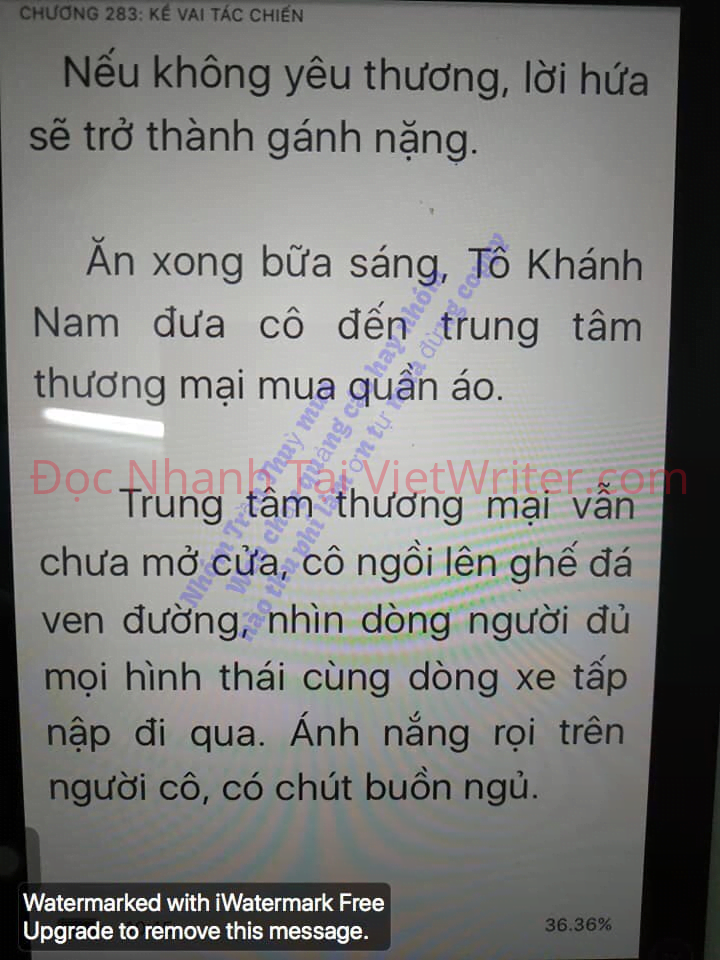 cung-vo-den-tan-cung-282-8