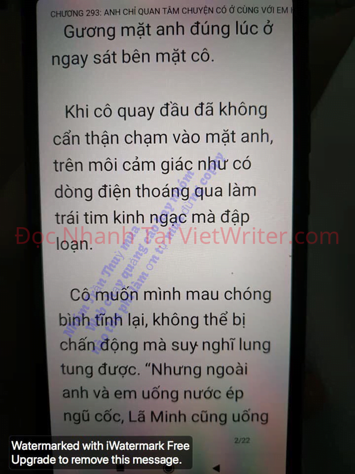 cung-vo-den-tan-cung-292-1