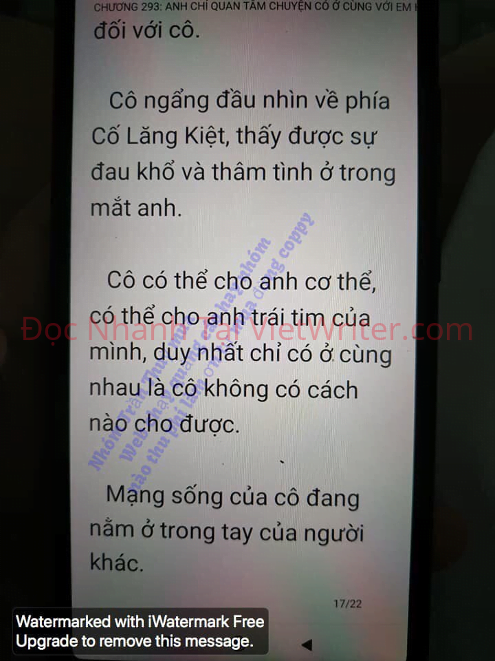 cung-vo-den-tan-cung-292-15