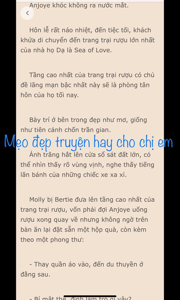 ket-hon-chop-nhoang-tong-tai-ly-hon-di-1035-6