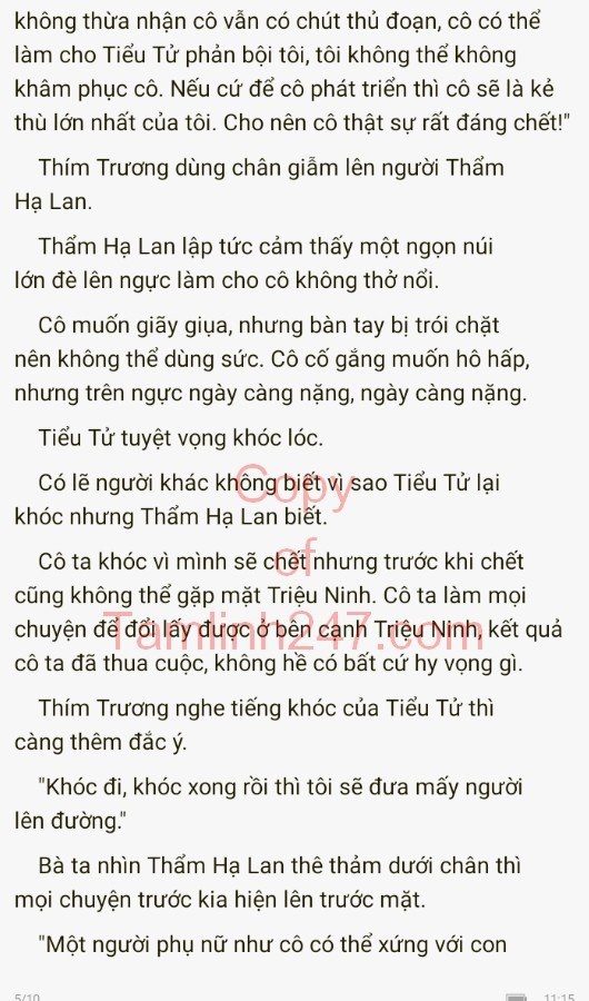 cuc-cung-co-chieu-317-4