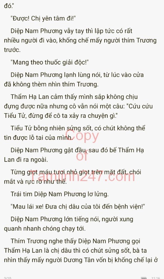 cuc-cung-co-chieu-319-2