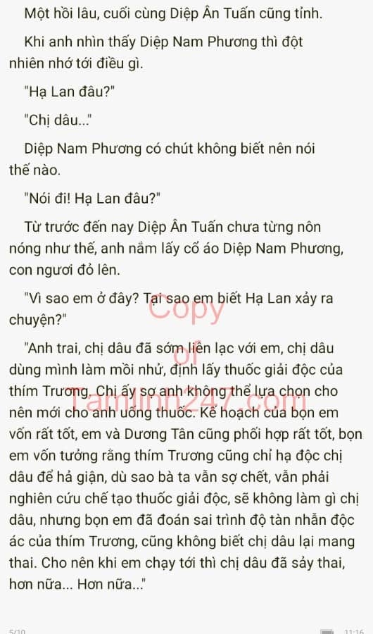 cuc-cung-co-chieu-319-4