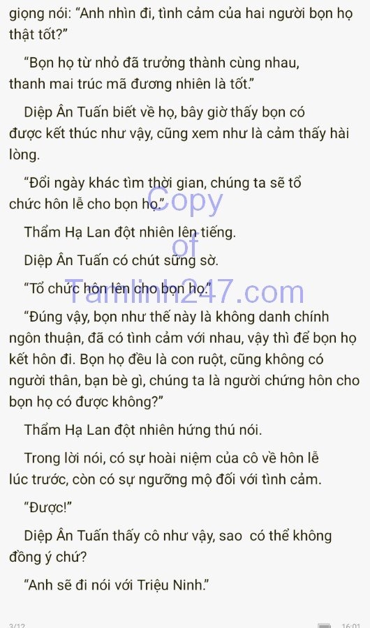 cuc-cung-co-chieu-331-2