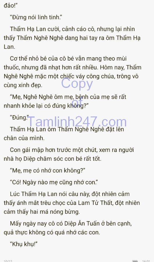 cuc-cung-co-chieu-332-9