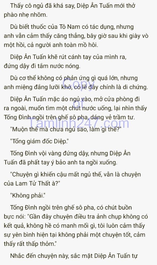 cuc-cung-co-chieu-364-8