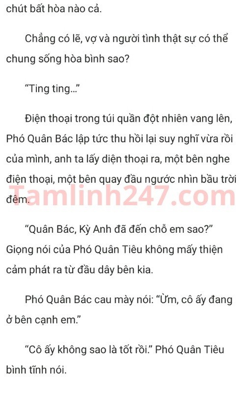 thieu-tuong-vo-ngai-noi-gian-roi-197-6