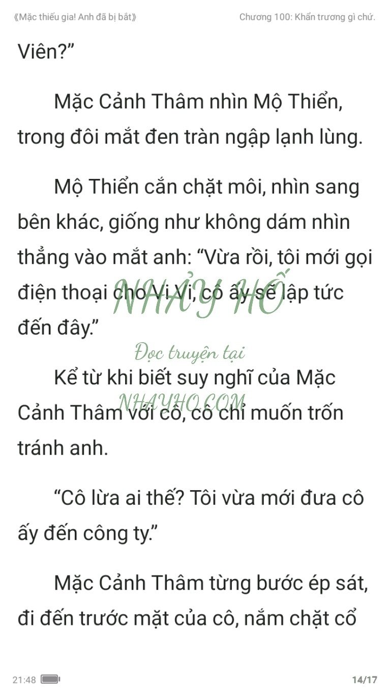 mac-thieu-gia-anh-da-bi-bat-100-13