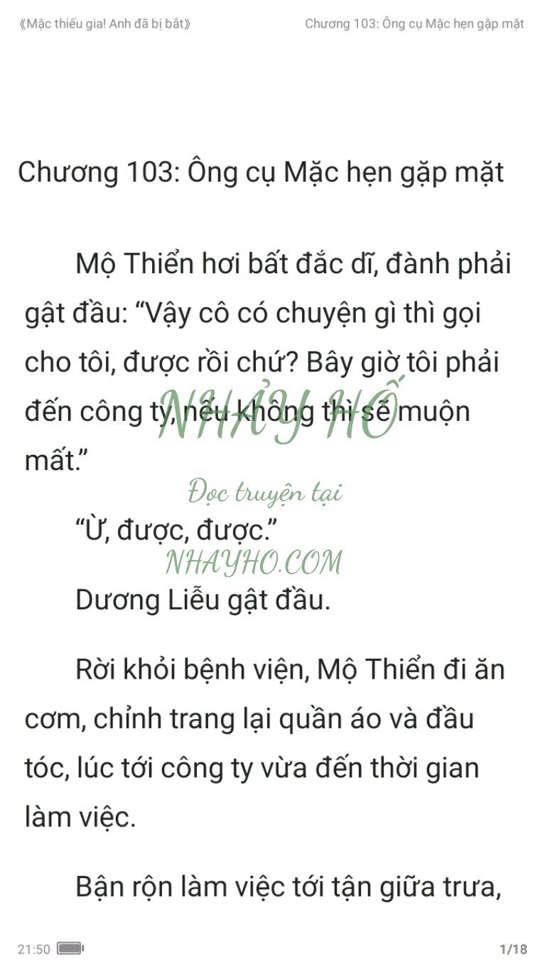 mac-thieu-gia-anh-da-bi-bat-103-0