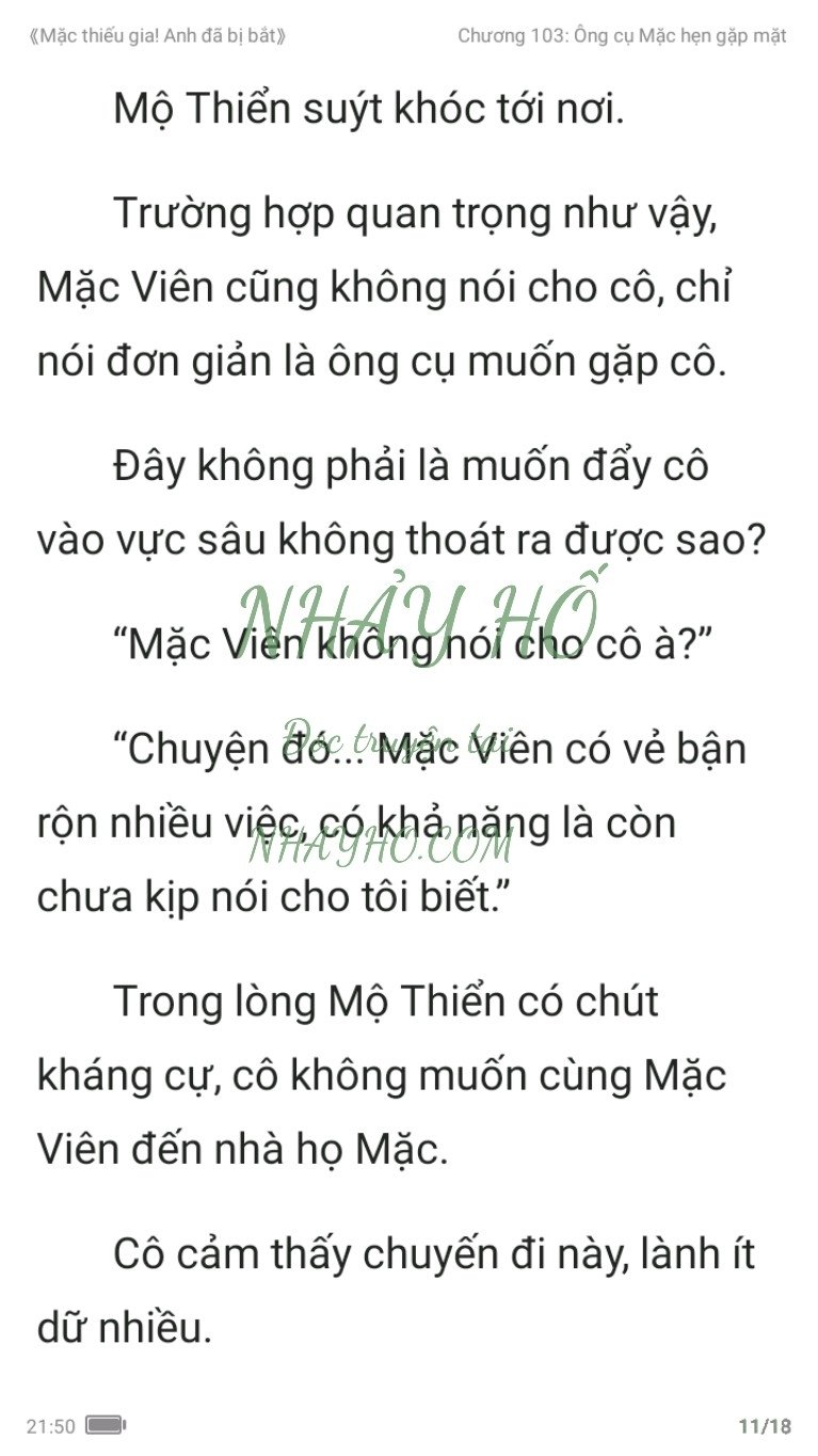 mac-thieu-gia-anh-da-bi-bat-103-10