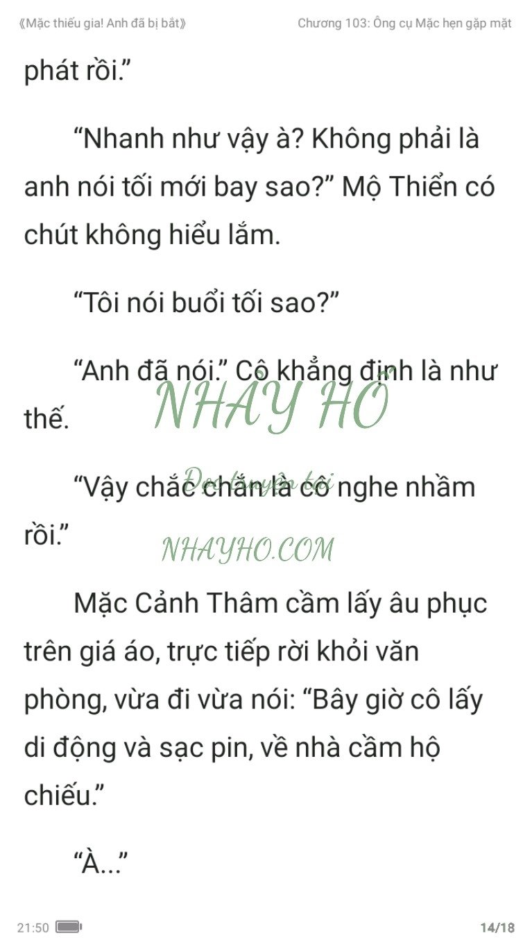 mac-thieu-gia-anh-da-bi-bat-103-13