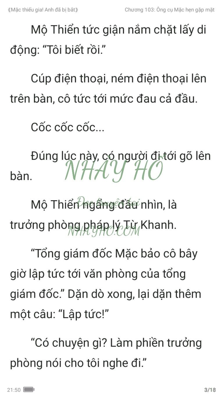 mac-thieu-gia-anh-da-bi-bat-103-2