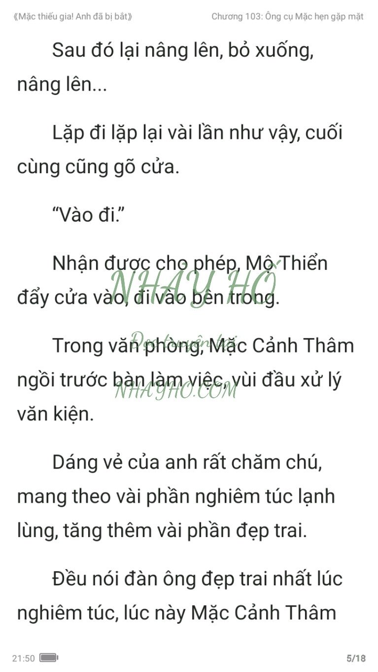 mac-thieu-gia-anh-da-bi-bat-103-4