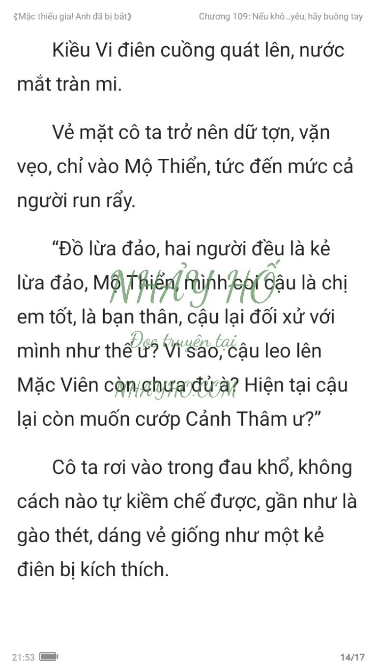 mac-thieu-gia-anh-da-bi-bat-109-13