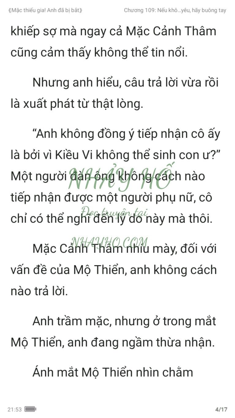 mac-thieu-gia-anh-da-bi-bat-109-3