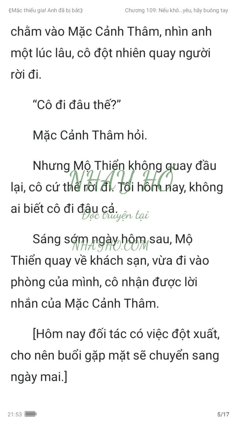 mac-thieu-gia-anh-da-bi-bat-109-4