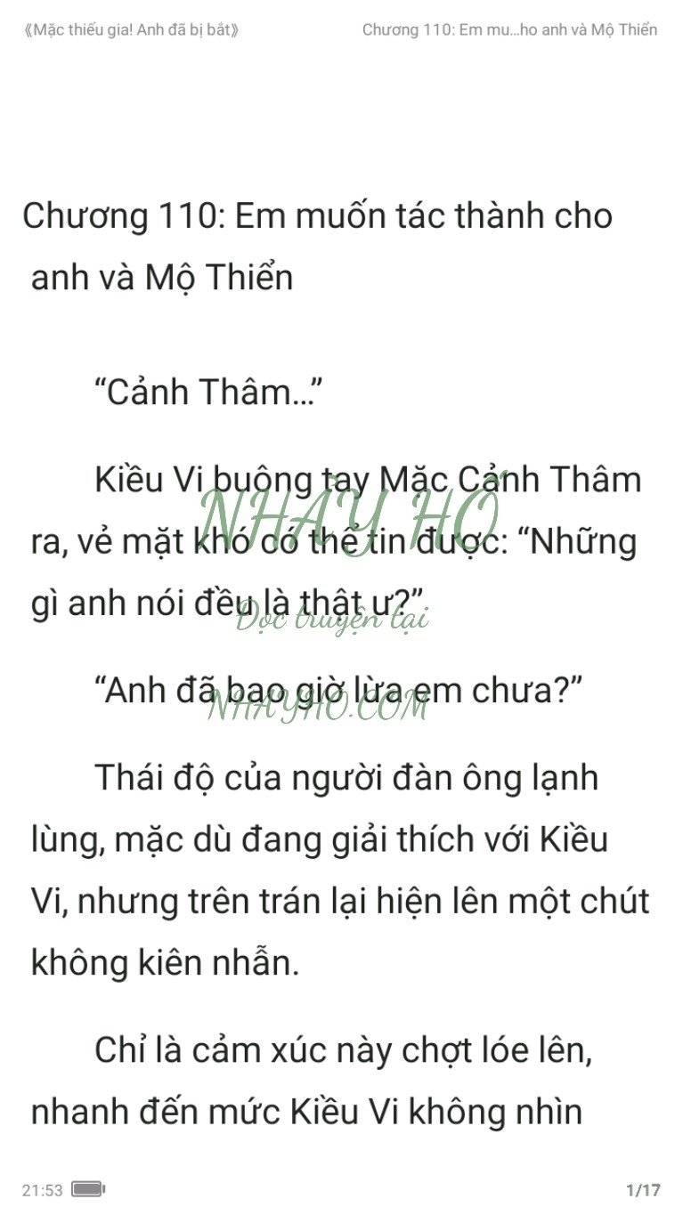 mac-thieu-gia-anh-da-bi-bat-110-0