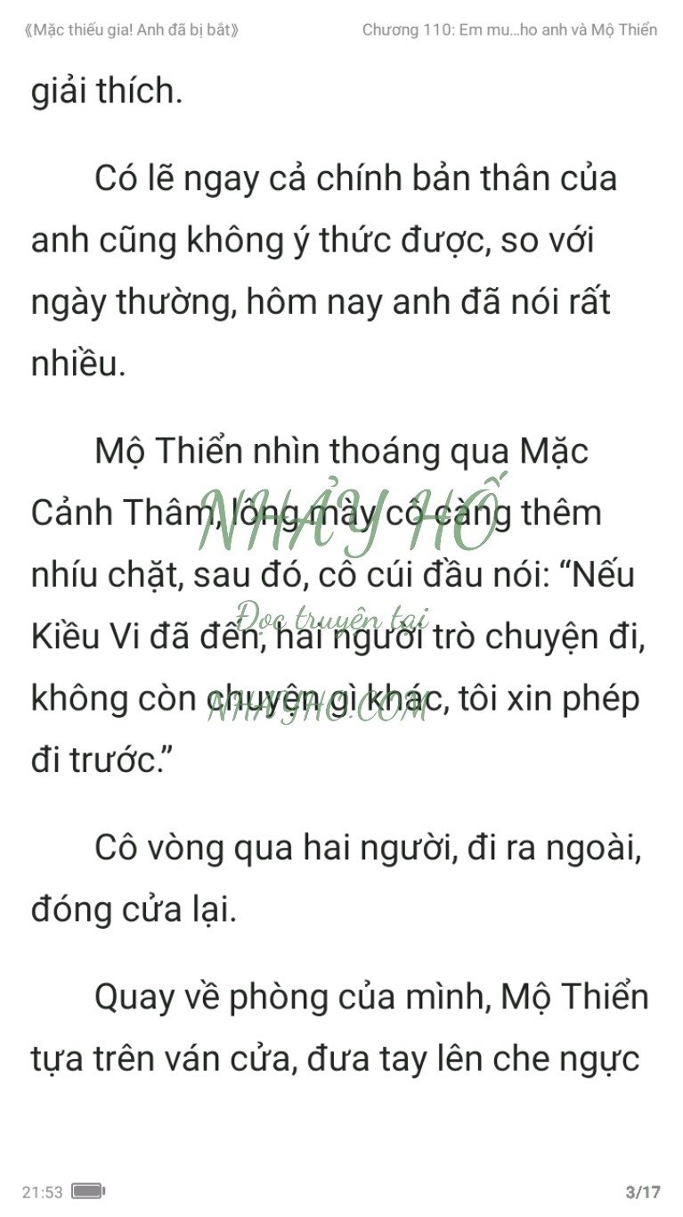 mac-thieu-gia-anh-da-bi-bat-110-2