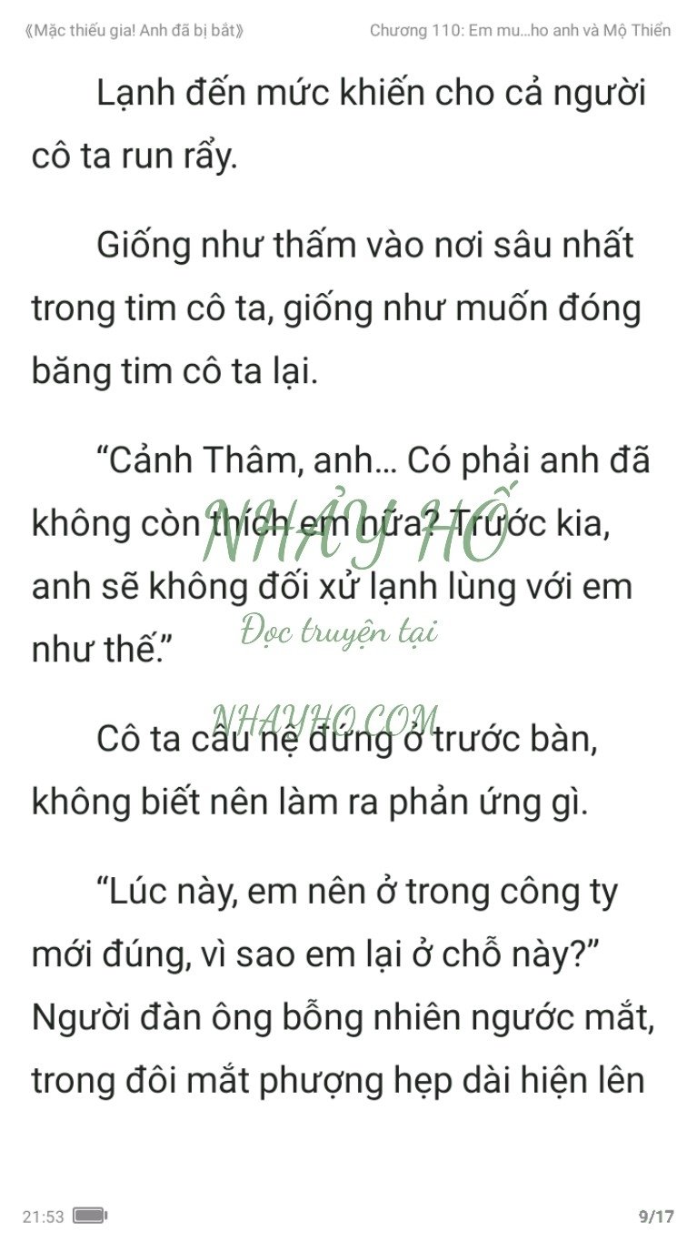 mac-thieu-gia-anh-da-bi-bat-110-8