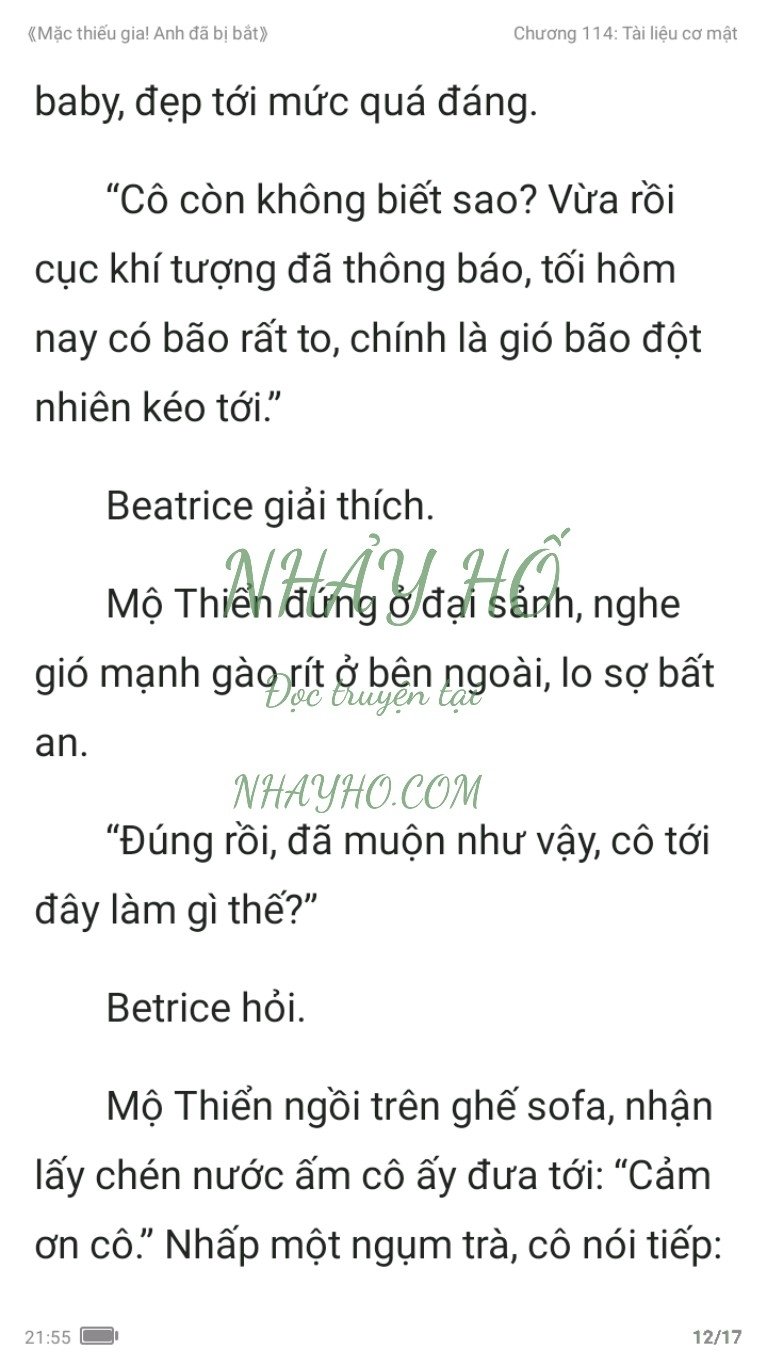 mac-thieu-gia-anh-da-bi-bat-114-11