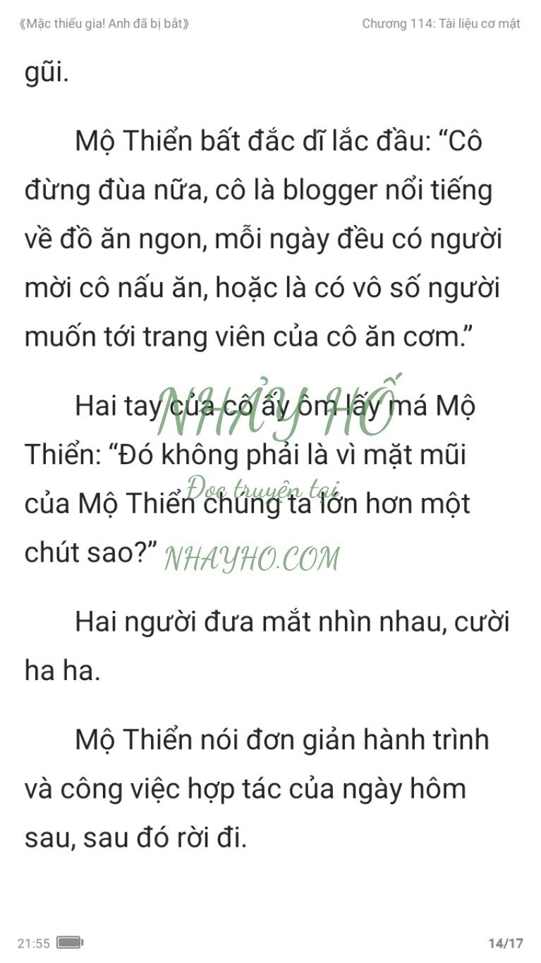 mac-thieu-gia-anh-da-bi-bat-114-13