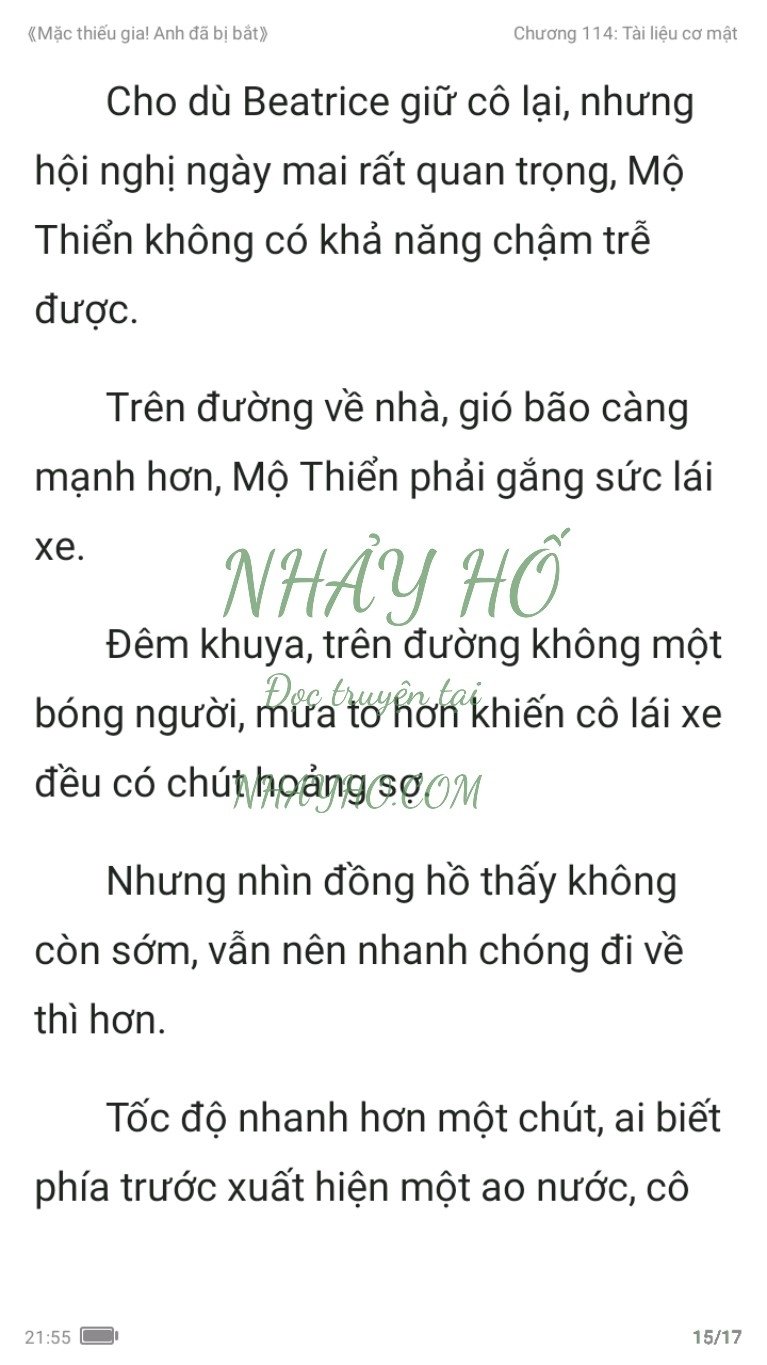 mac-thieu-gia-anh-da-bi-bat-114-14