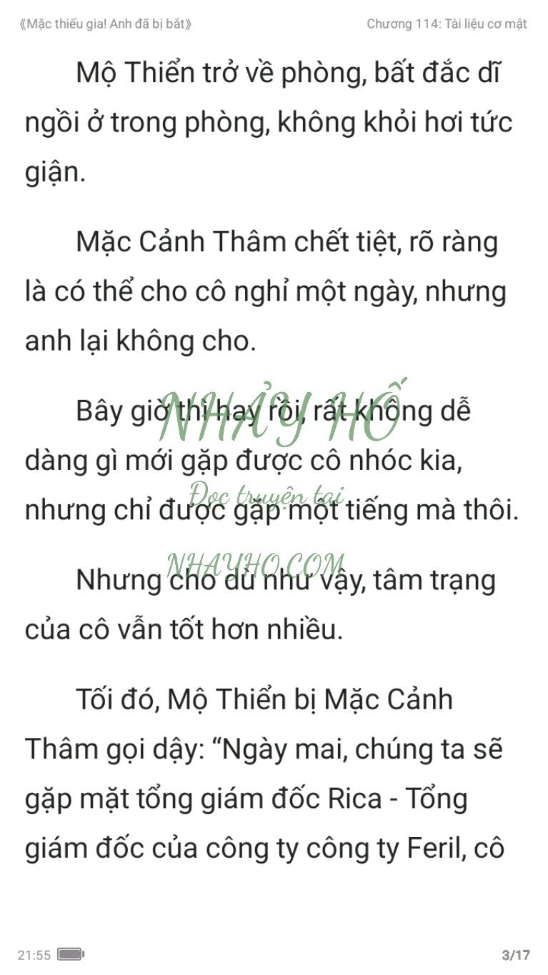 mac-thieu-gia-anh-da-bi-bat-114-2