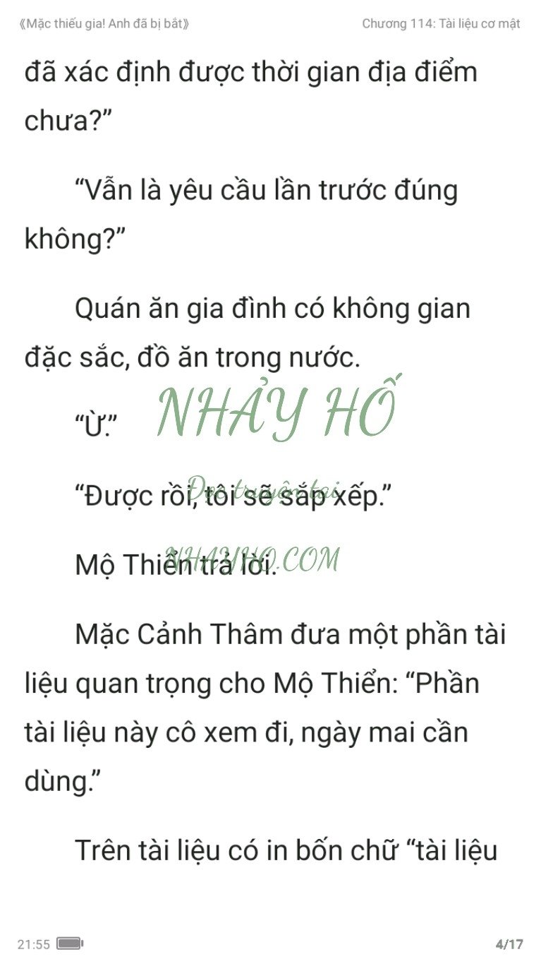 mac-thieu-gia-anh-da-bi-bat-114-3