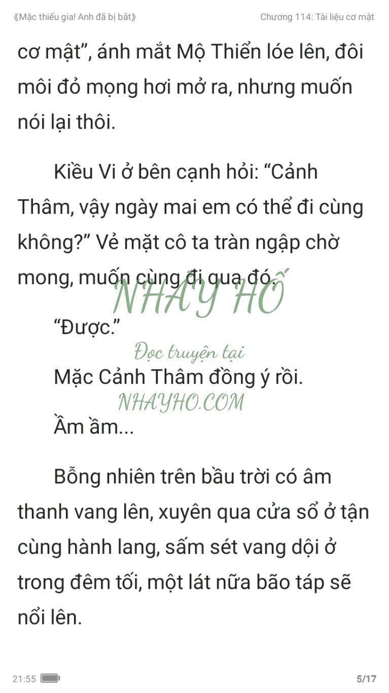 mac-thieu-gia-anh-da-bi-bat-114-4