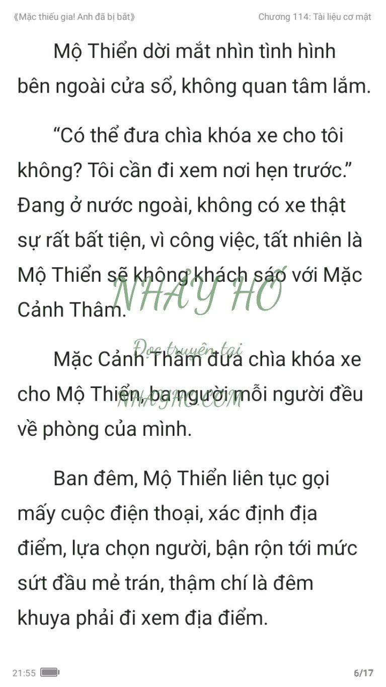 mac-thieu-gia-anh-da-bi-bat-114-5