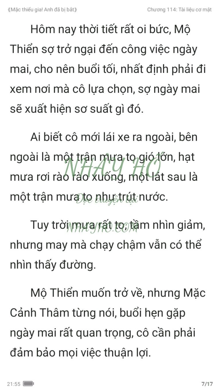 mac-thieu-gia-anh-da-bi-bat-114-6