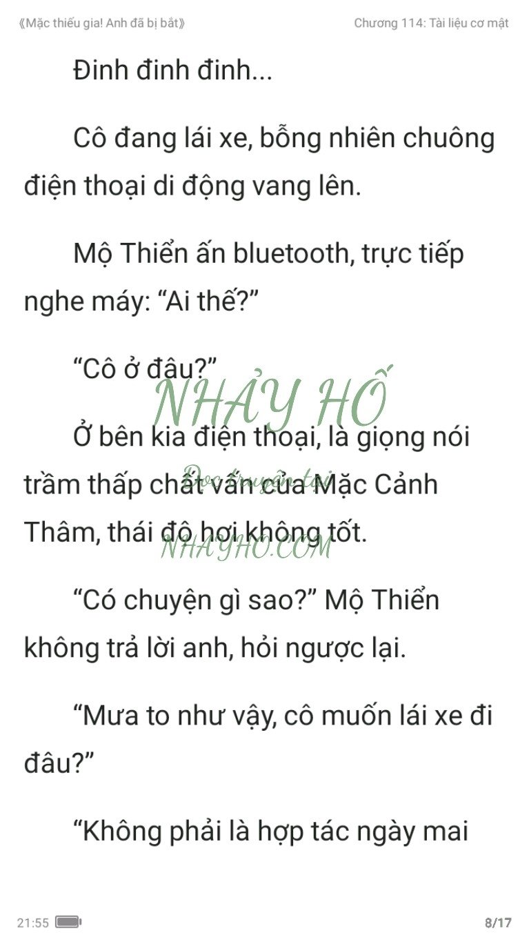 mac-thieu-gia-anh-da-bi-bat-114-7