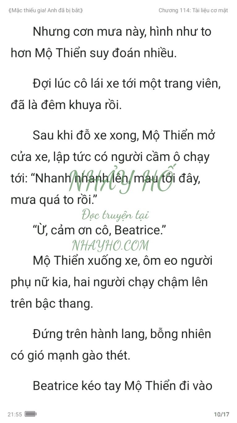 mac-thieu-gia-anh-da-bi-bat-114-9